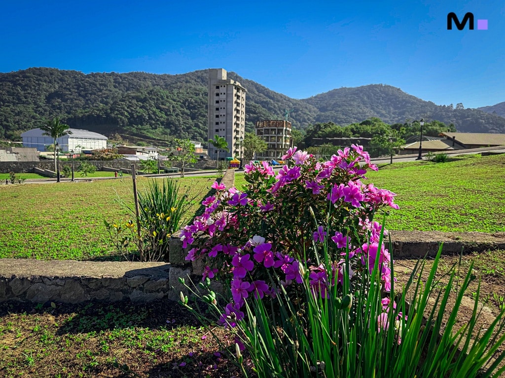Vista do Condomínio Vale das Pedras com flores vibrantes e montanhas ao fundo.