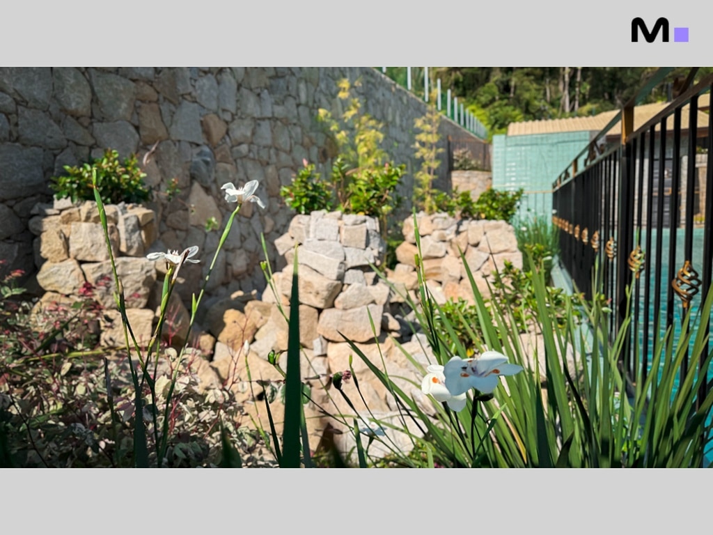 Jardim exuberante com muro de pedra no Condomínio Vale das Pedras. Flores brancas e vegetação verde.