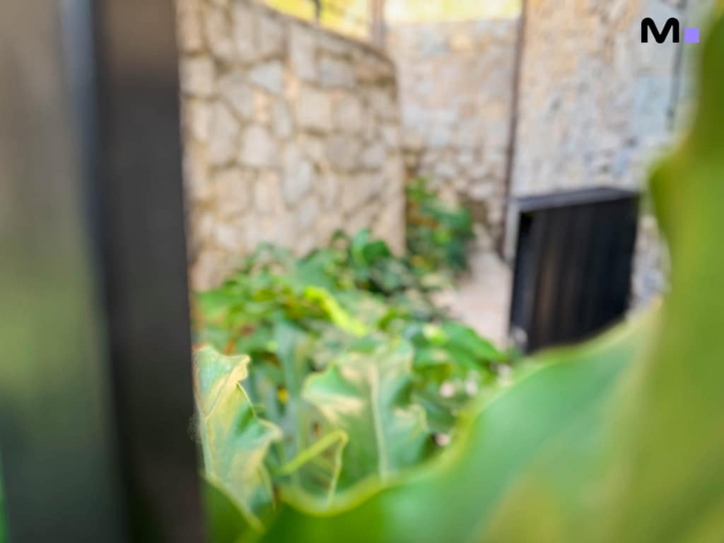 Jardim exuberante no Condomínio Vale das Pedras, com muros de pedra ao fundo.